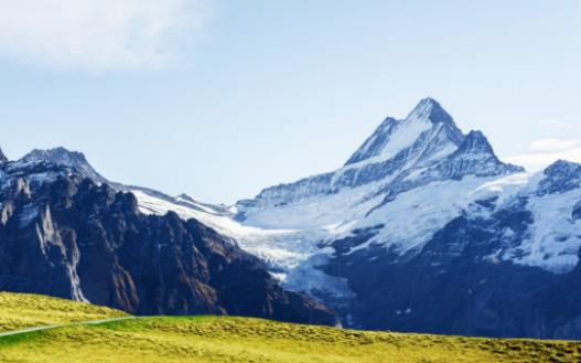 Die Flora und Fauna der Aletsch Region