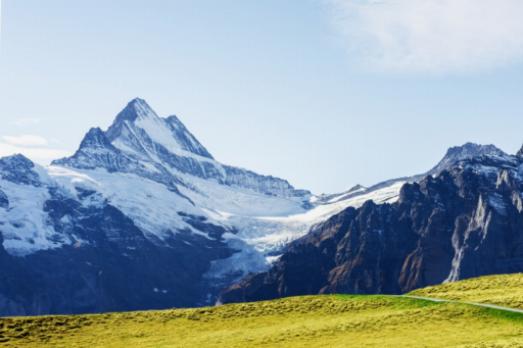 Der Alpengarten: Ein genauerer Blick auf die Bergflora der Schweiz